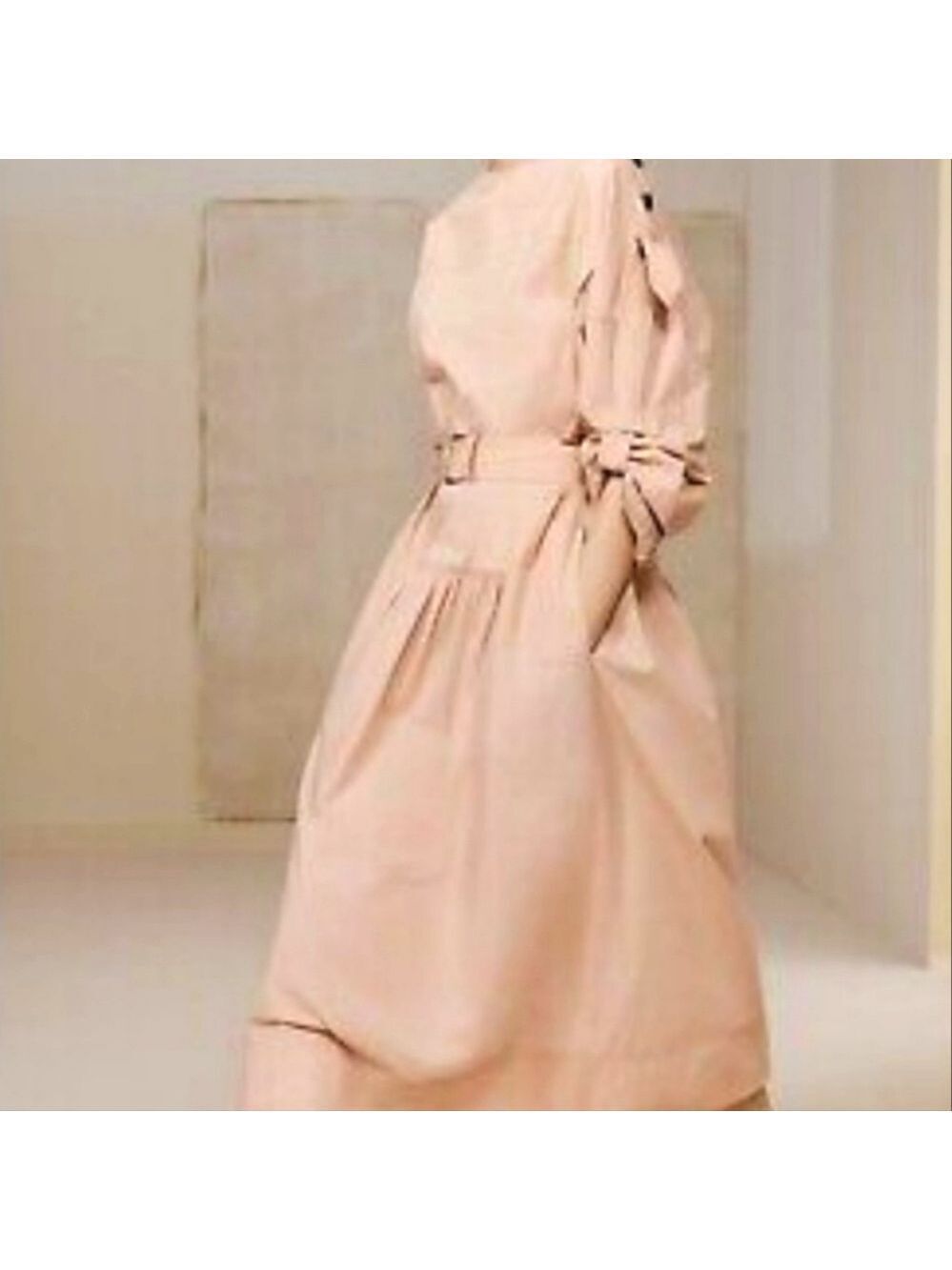 NWT Zara SRPLS Limited Edition Belted Dress, Size L - Picture 3 of 17